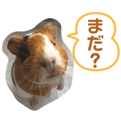 omochi_20200726163316