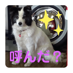 Risa_20200726163847