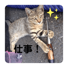 Risa_20200726170041