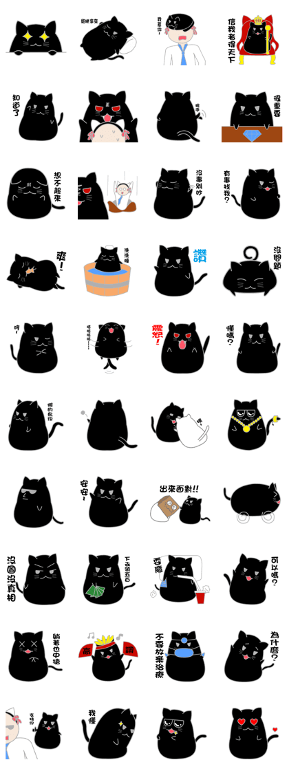 My life is black and white cat2