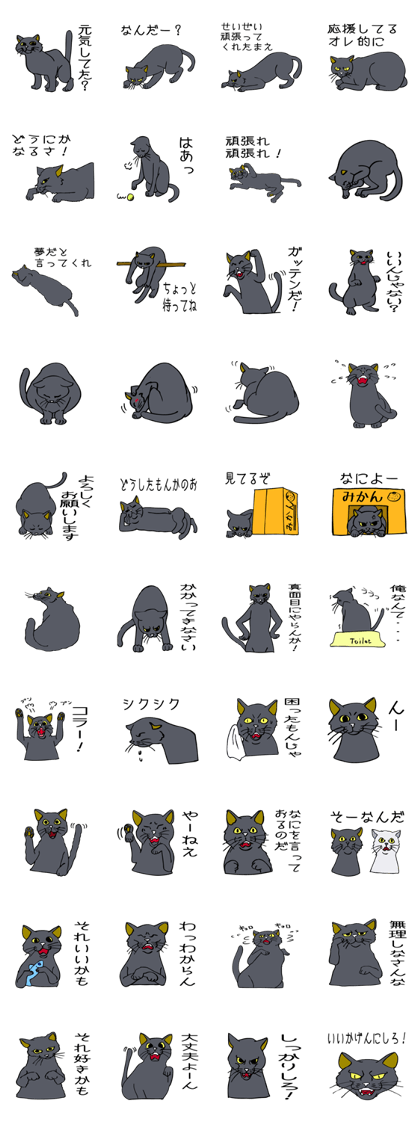 Cat walking.