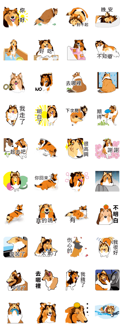 Vibrant Shetland Sheepdog