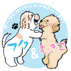 Australian Labradoodle FukuMugikoSticker