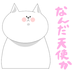 it is full of cats