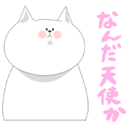 it is full of cats