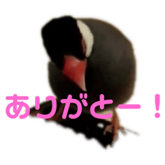 akiko_20200726182346