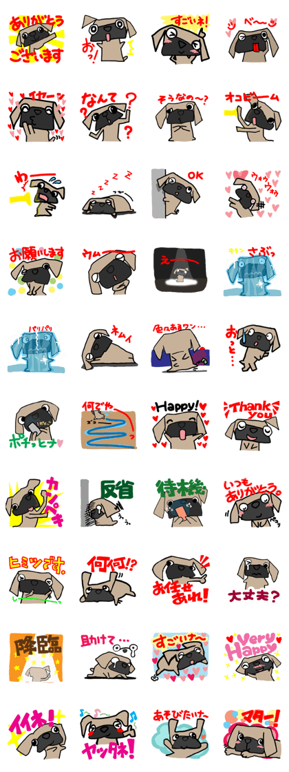 Pretty reaction Pug dog2
