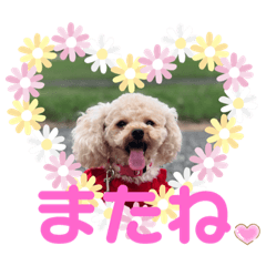 hana_20200726202158