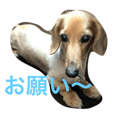 Hiroki_20200726203236