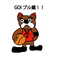 Basketball Dog  BULLZO
