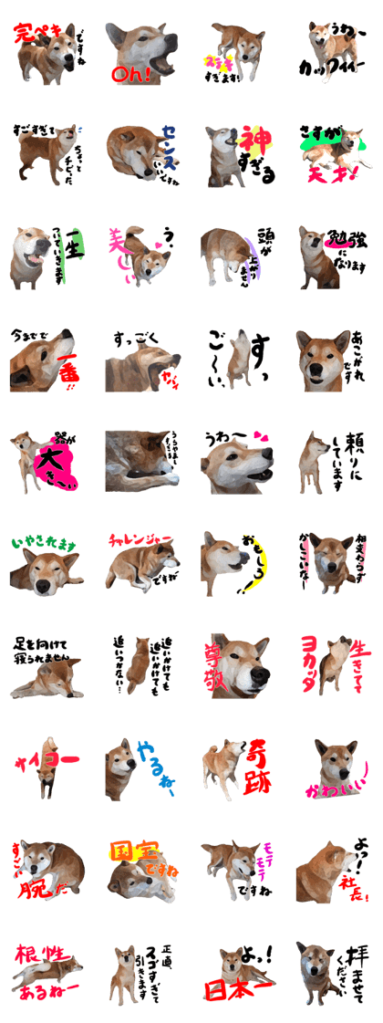 Sticker Shibainu(vol5)