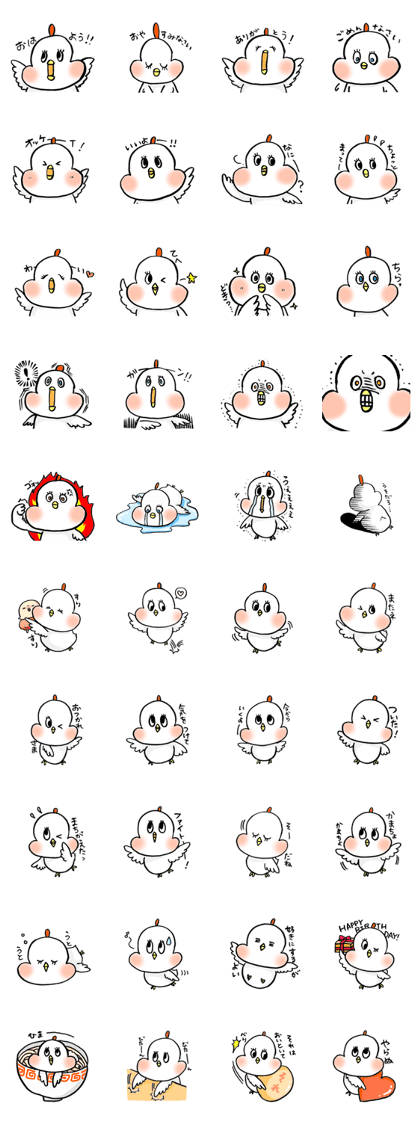 A funny and cute bird