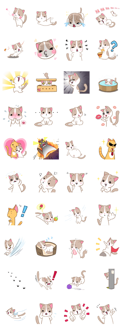 Many the Cat
