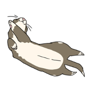 sticker of ferret