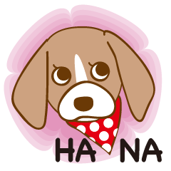 FICKLE BEAGLE DOG HANA-English