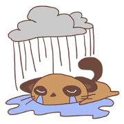 Cute but Lazy Cat