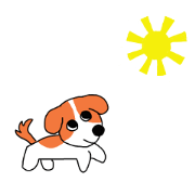 Ultra Wanko