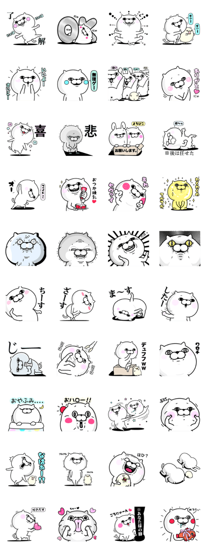 Cat 100% 2015 daily use