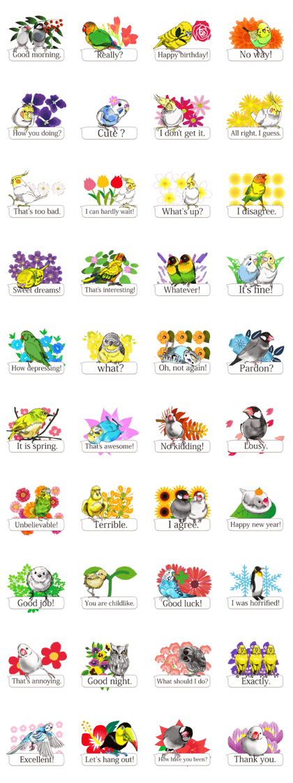 Birds and flowers and balloon (English)