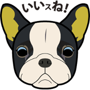 Animals speak Sticker