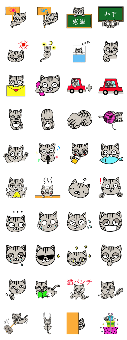Plain-looking cat Coco