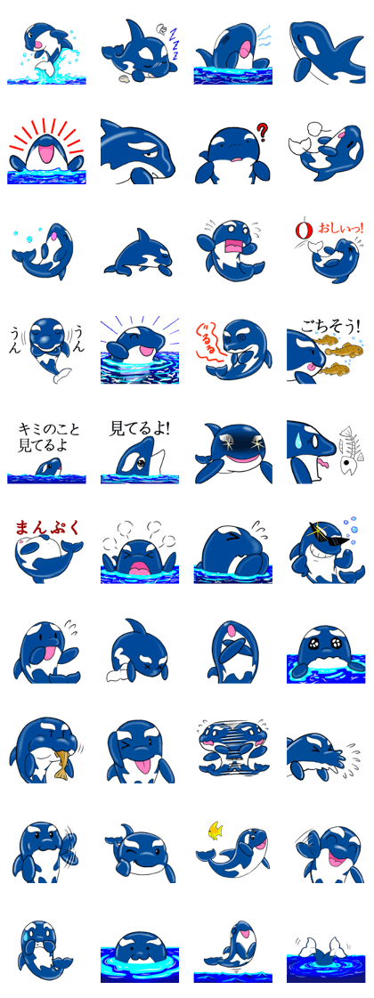 Killer whale