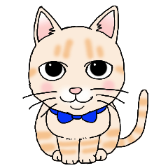 Cream tabby cat "Mugi"