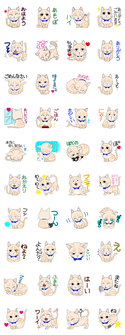 Cream tabby cat "Mugi"