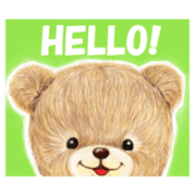 The bear which wore tank top