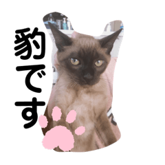 NAGISA_20200727021422