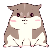 Hamster's daily