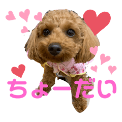 rina_20200727015235