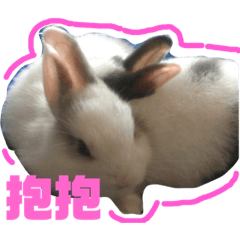 阿肥寶寶敲卡瓦伊