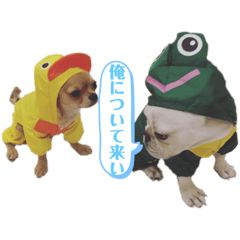 wasabi_20200727122814
