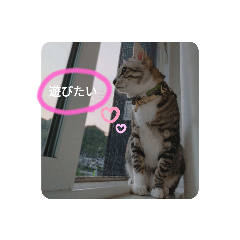 monmon_20200727064612