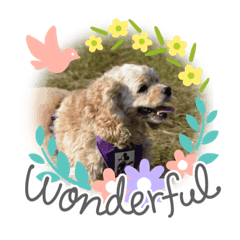 多力家族日常生活第三篇