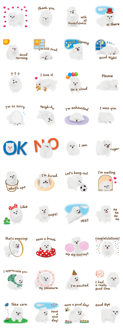 Cute White Pomeranian (English Ver.)