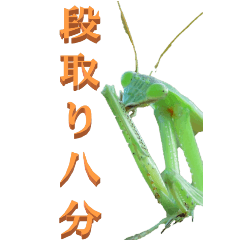 Words used at work From Mantis-BIG