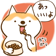 Shibachin 2