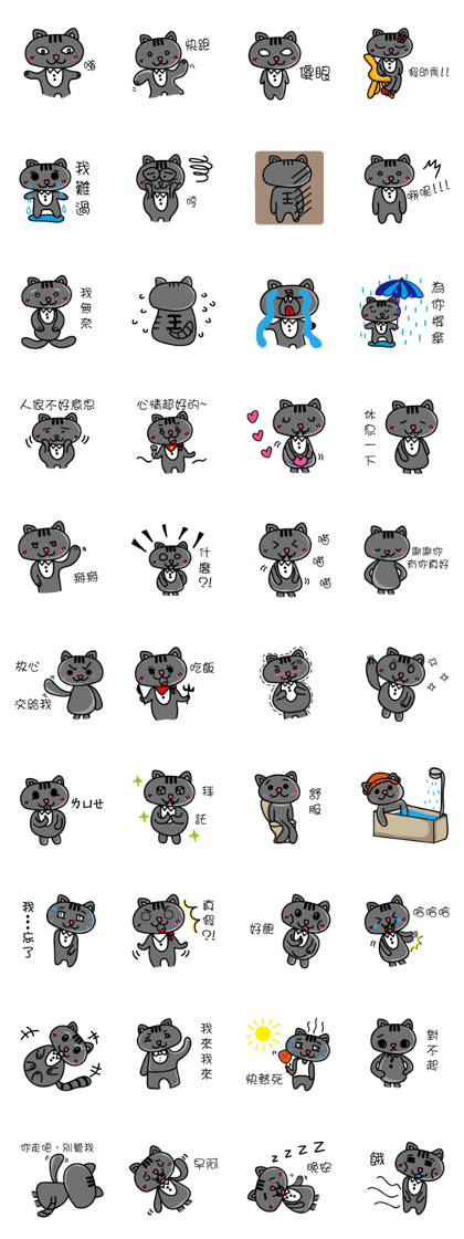 Gray's meow