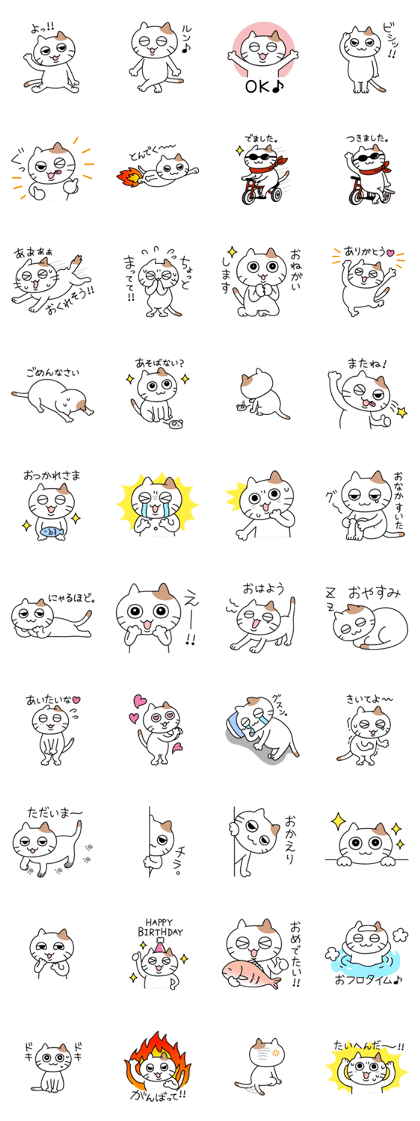 daily conversation send from cat