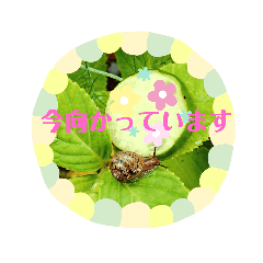 hana_20200727102225