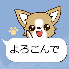 Chihuahua's Sticker! (Speech bubble)