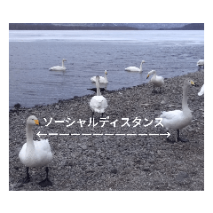 d_20200727124514