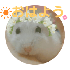 hana_20200727141650