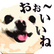Chihuahua is cute sticker convenient.