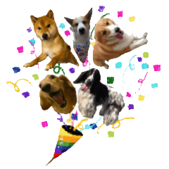 Jet Choro Ren Dachs Kei