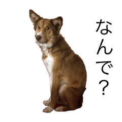 saya_20200726172648