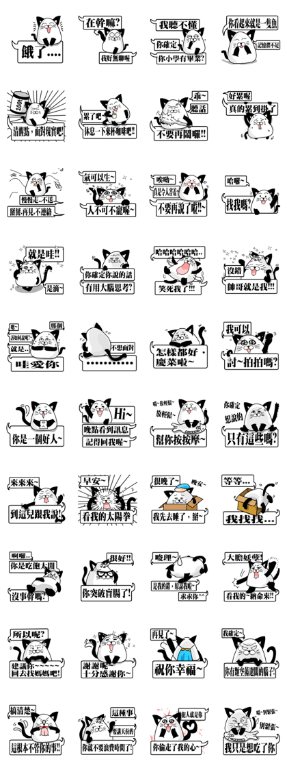 the cute cat 01