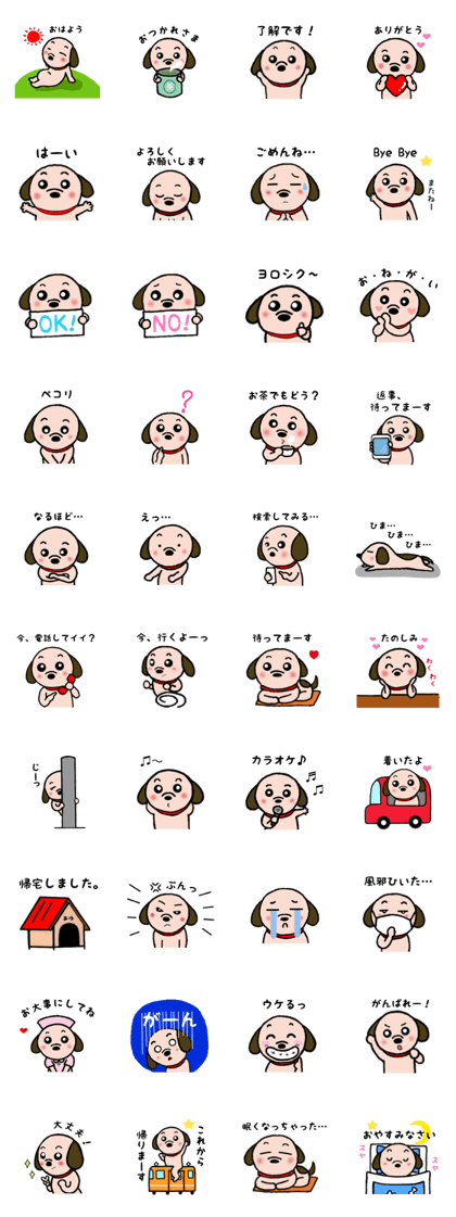 Beagle Ayu